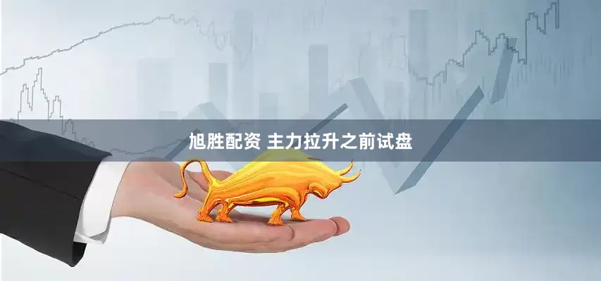 旭胜配资 主力拉升之前试盘