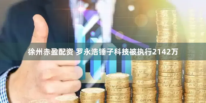徐州赤盈配资 罗永浩锤子科技被执行2142万