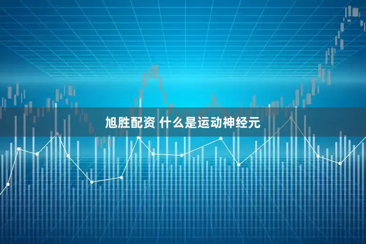 旭胜配资 什么是运动神经元